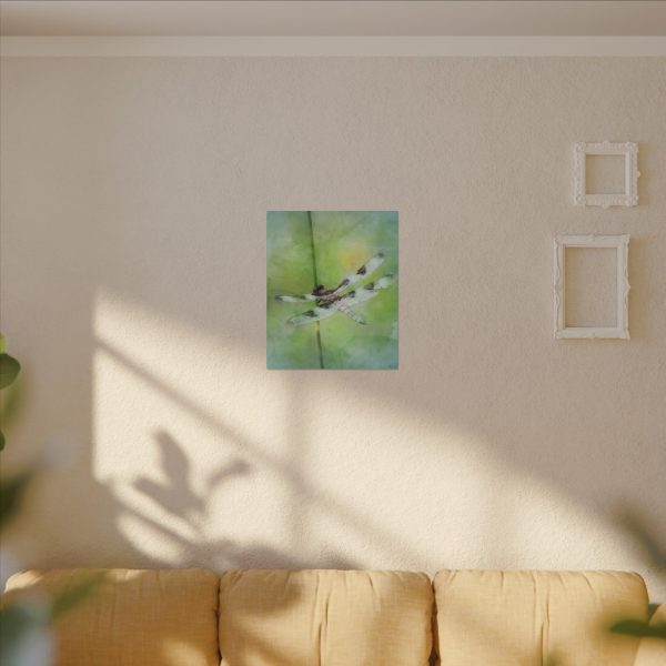 Dragonfly Balance - Image 67