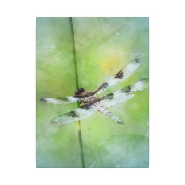Dragonfly Balance - Image 9