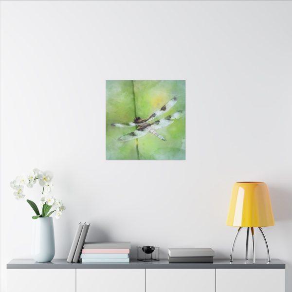 Dragonfly Balance - Image 72