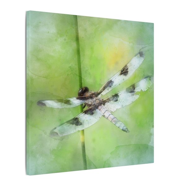 Dragonfly Balance - Image 62