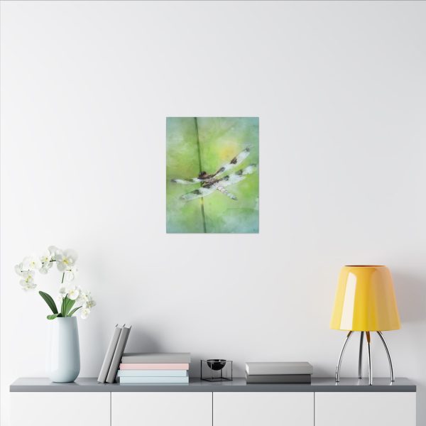 Dragonfly Balance - Image 16