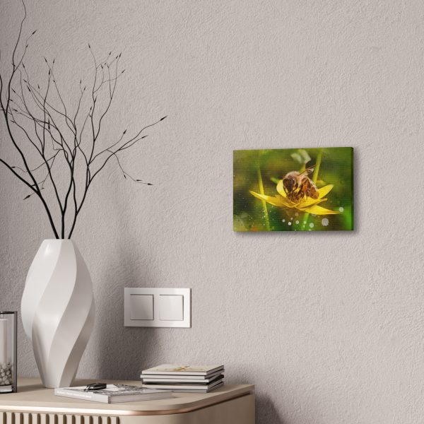 Pollen Collection - Image 4
