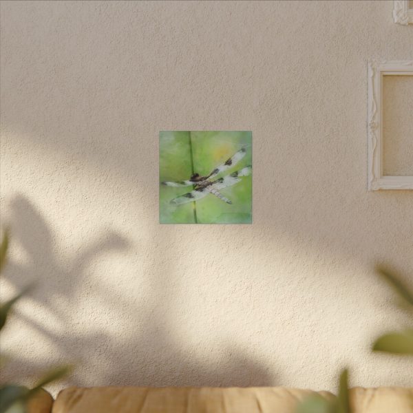 Dragonfly Balance - Image 55