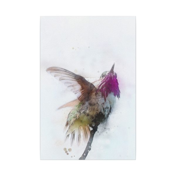 Hummingbird Dance - Image 13