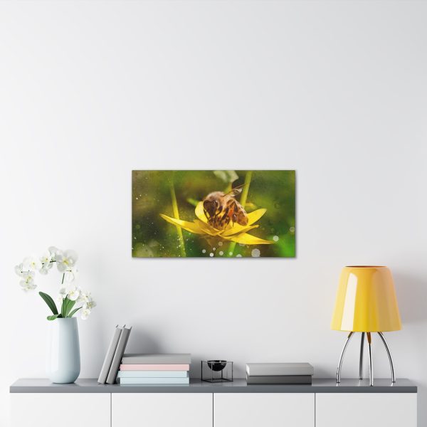 Pollen Collection - Image 19