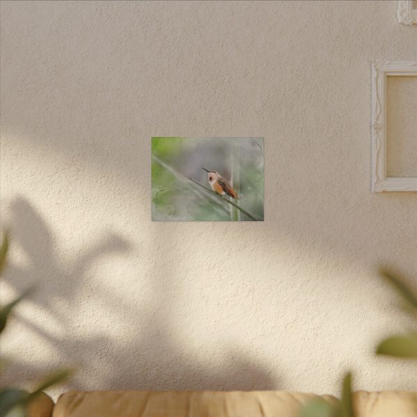 Always Look Up - Image 3