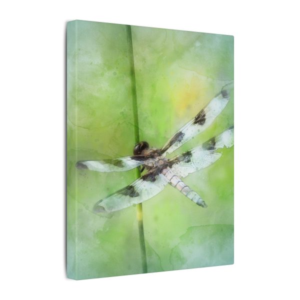 Dragonfly Balance - Image 42
