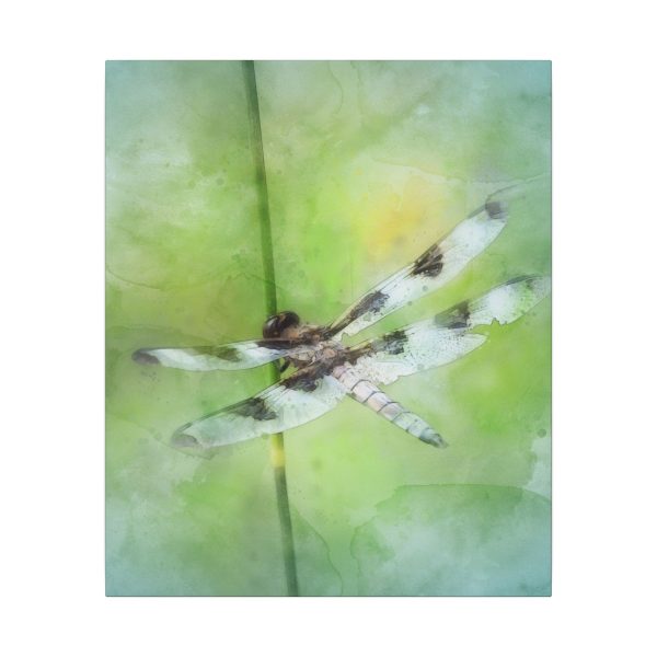 Dragonfly Balance - Image 65