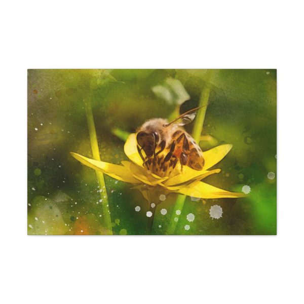 Pollen Collection - Image 25