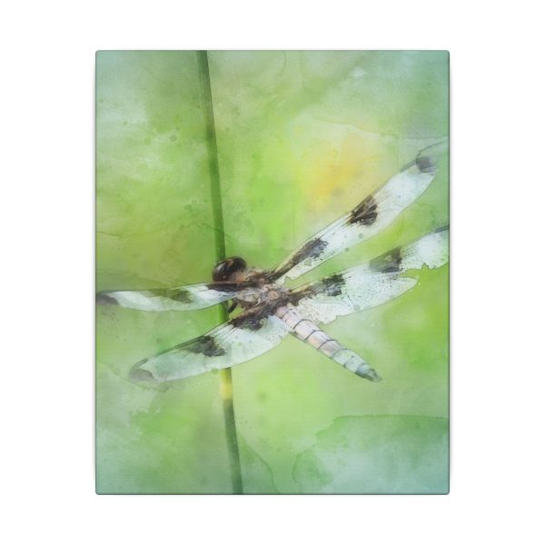 Dragonfly Balance - Image 41