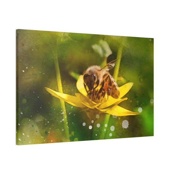 Pollen Collection - Image 22