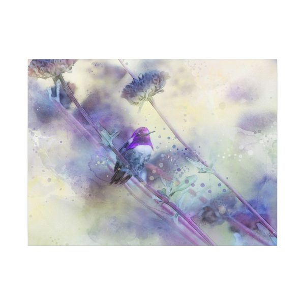 Blending in with the Purple - Image 89