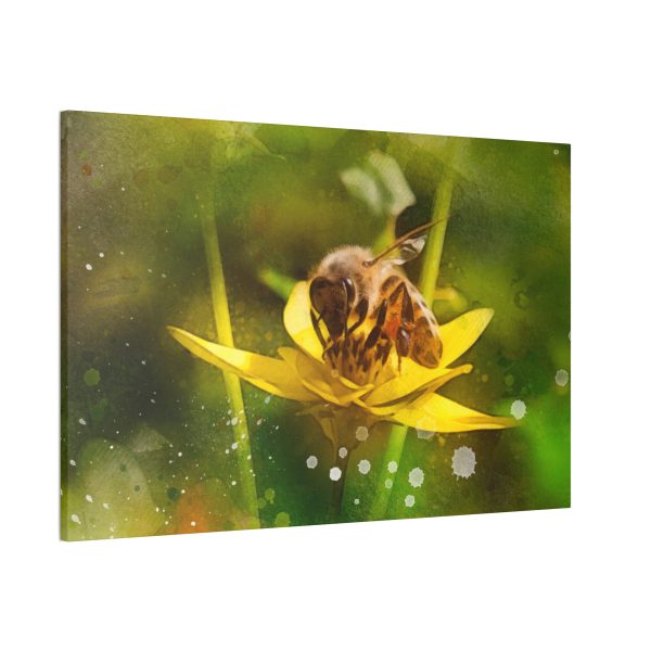 Pollen Collection - Image 26