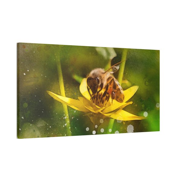 Pollen Collection - Image 18