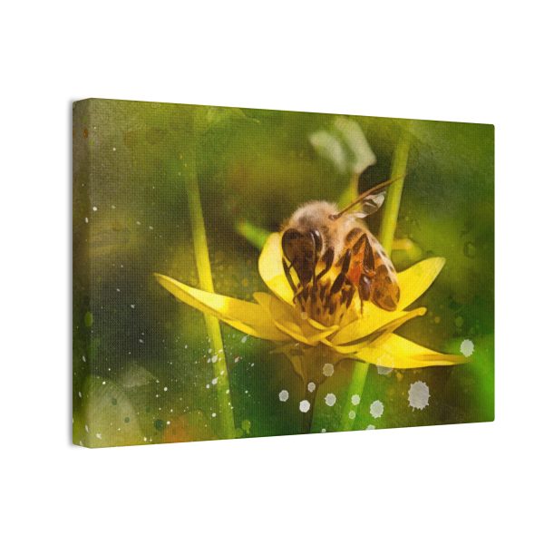 Pollen Collection - Image 2