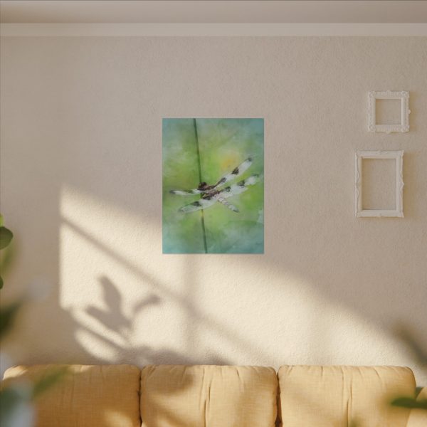 Dragonfly Balance - Image 23