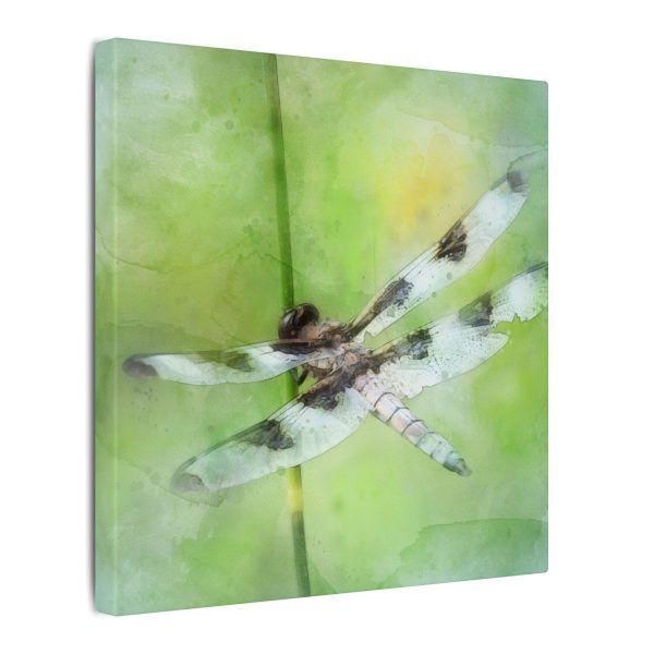 Dragonfly Balance - Image 54
