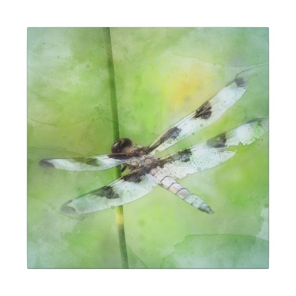 Dragonfly Balance - Image 61