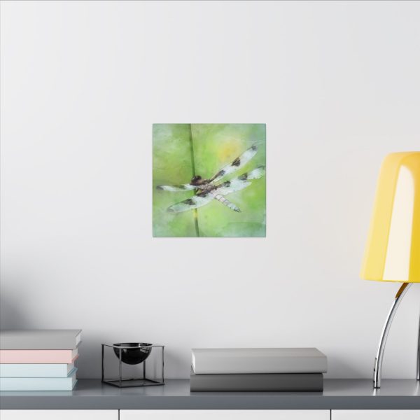 Dragonfly Balance - Image 60