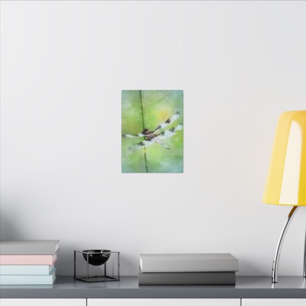 Dragonfly Balance - Image 4