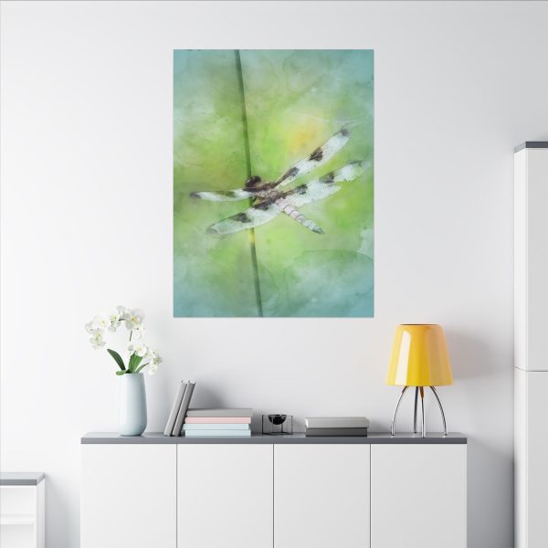 Dragonfly Balance - Image 84