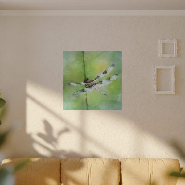 Dragonfly Balance - Image 39