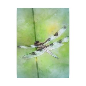 Dragonfly Balance