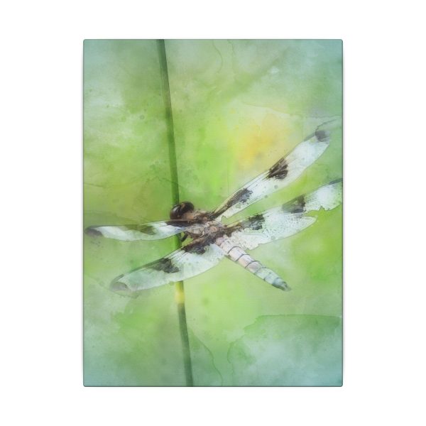 Dragonfly Balance