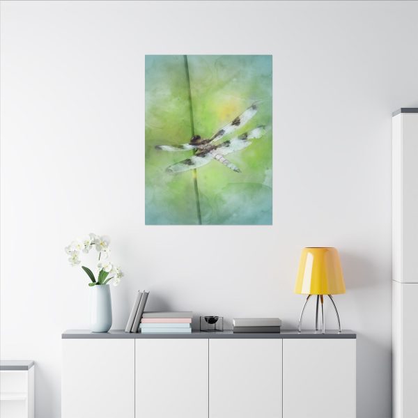 Dragonfly Balance - Image 28