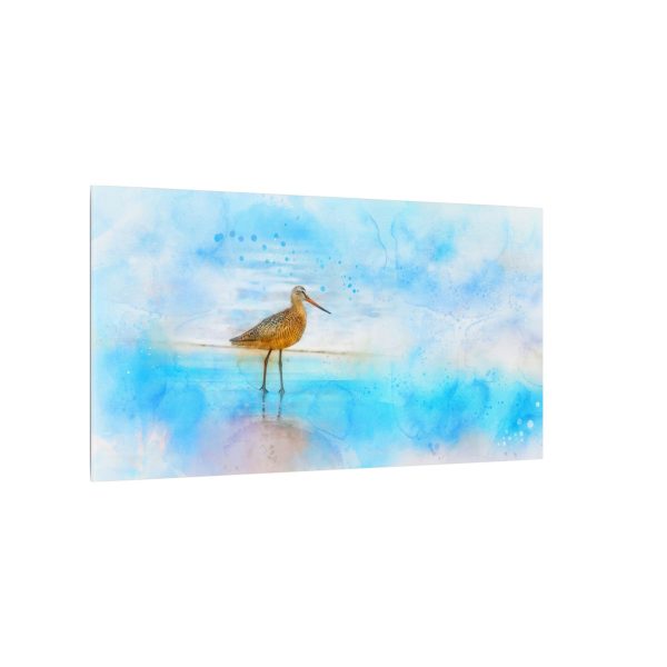 Oceanside Patience - Image 18