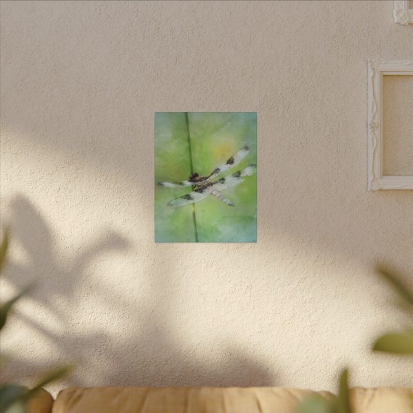 Dragonfly Balance - Image 7
