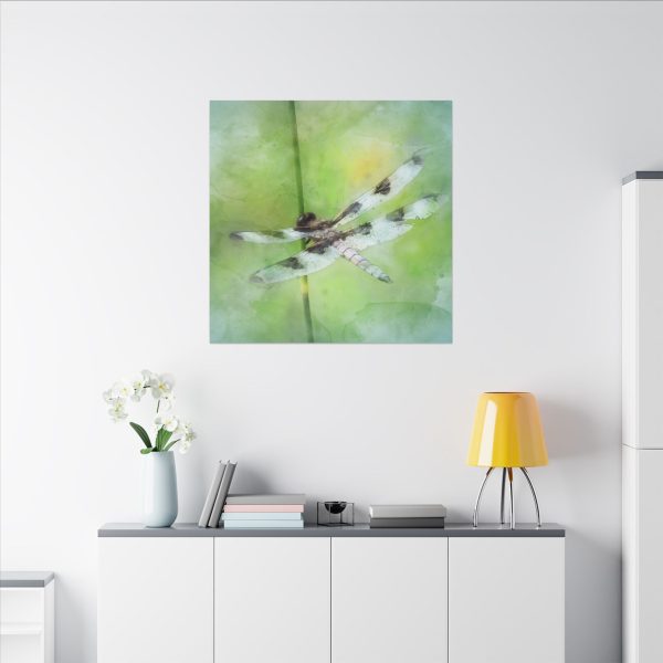 Dragonfly Balance - Image 80