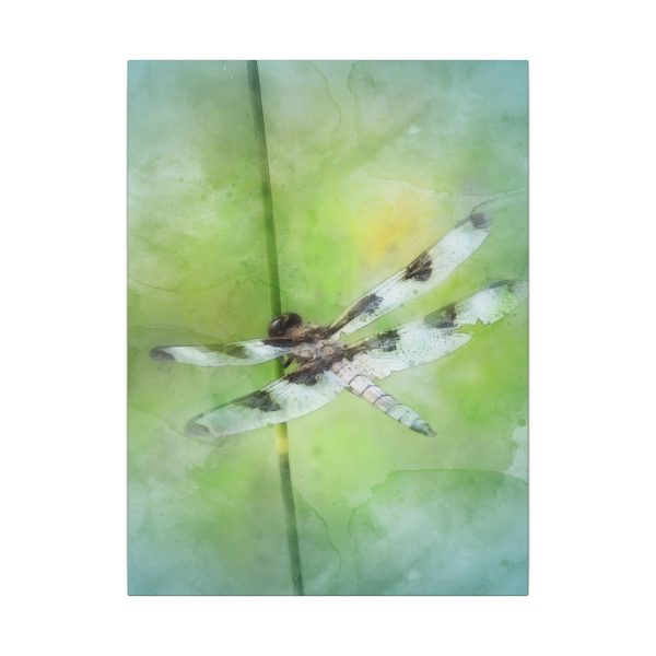 Dragonfly Balance - Image 17