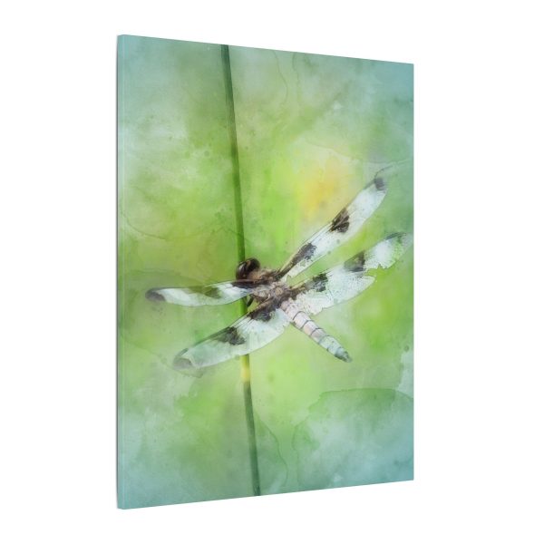 Dragonfly Balance - Image 46