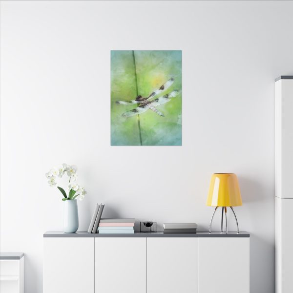 Dragonfly Balance - Image 24