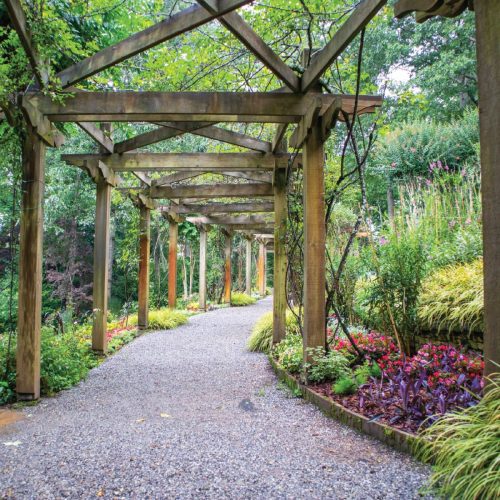 SOT-web-images-for-garden-02