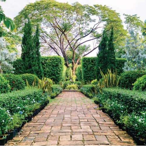 SOT-web-images-for-garden-04
