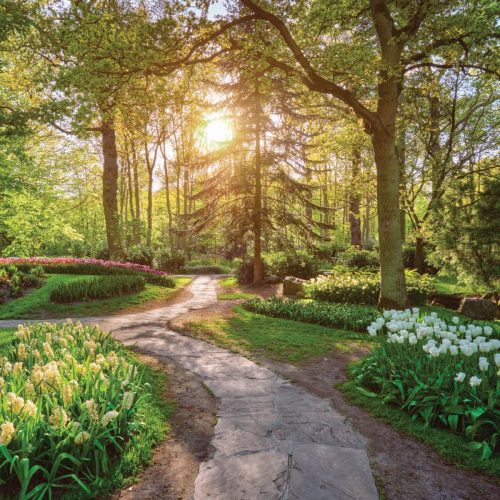 SOT-web-images-for-garden-05